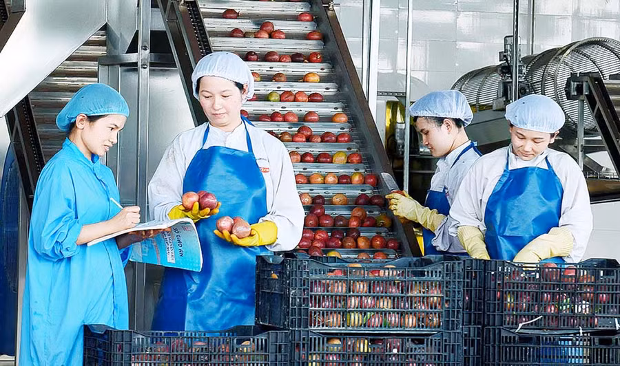  Dây chuyền sản xuất chanh dây của DOVECO Gia Lai. Ảnh: Đức Thụy