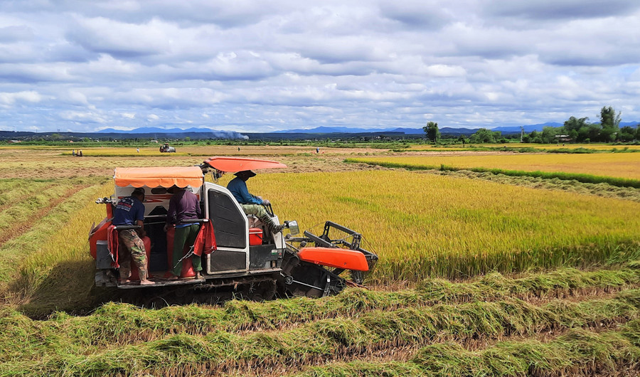 Sản xuất nông nghiệp ở thành phố Kon Tum được cơ giới hóa. Ảnh: VN Sản xuất nông nghiệp ở thành phố Kon Tum được cơ giới hóa. Ảnh: VN