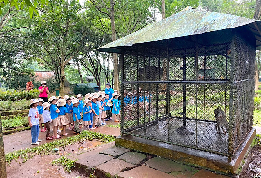 Trường Mầm non Sao Việt (TP. Pleiku) tổ chức cho trẻ ham quan, dã ngoại tại Công viên Diên Hồng. Ảnh: Mộc Trà