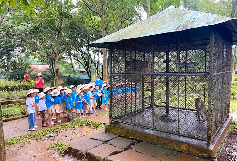 Trường Mầm non Sao Việt (TP. Pleiku) tổ chức cho trẻ ham quan, dã ngoại tại Công viên Diên Hồng. Ảnh: Mộc Trà