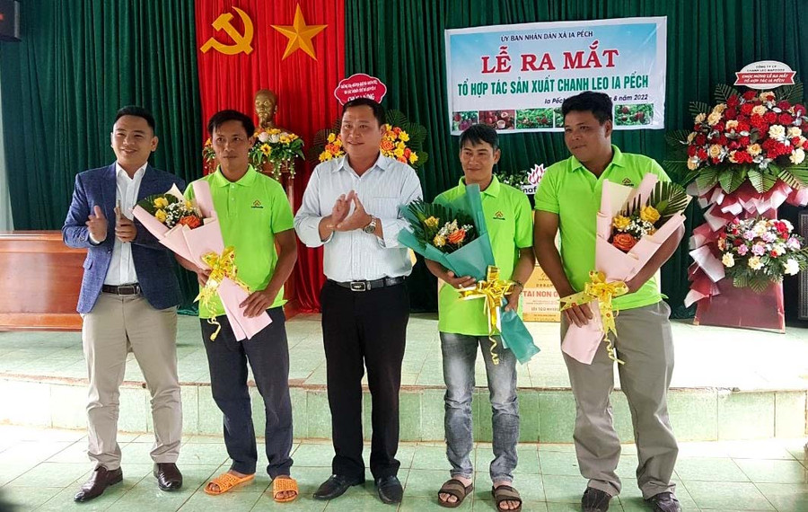 Lãnh đạo UBND xã Ia Pếch trao quyết định thành lập tổ hợp tác sản xuất chanh leo Ia Pếch. Ảnh: Thanh Loan