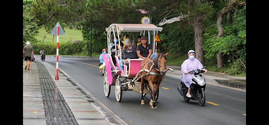 Du khách trải nghiệm tour xe ngựa quanh hồ Xuân Hương. Ảnh: Lâm Viên