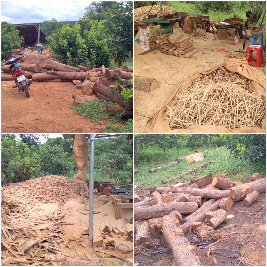 Xưởng gỗ hoạt động chui tại thôn Ia Chía, xã Ia Nan, huyện Đức Cơ. Ảnh: Lê Anh