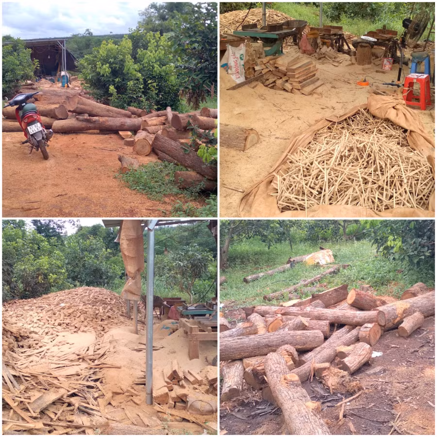 Xưởng gỗ hoạt động chui tại thôn Ia Chía, xã Ia Nan, huyện Đức Cơ. Ảnh: Lê Anh