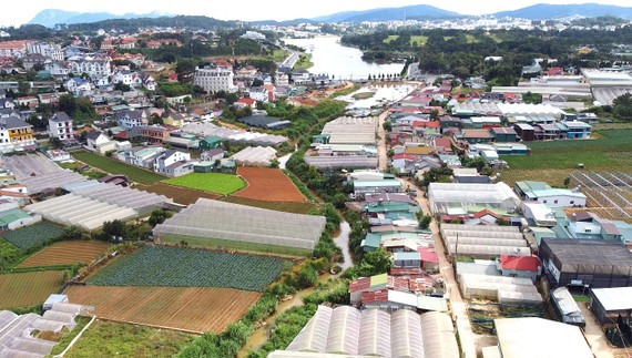 Suối Cam Ly phía thượng nguồn hồ Xuân Hương (Đà Lạt) ngày càng bị thu hẹp do bị bồi lắng, lấn chiếm. Ảnh: ĐOÀN KIÊN Suối Cam Ly phía thượng nguồn hồ Xuân Hương (Đà Lạt) ngày càng bị thu hẹp do bị bồi lắng, lấn chiếm. Ảnh: ĐOÀN KIÊN