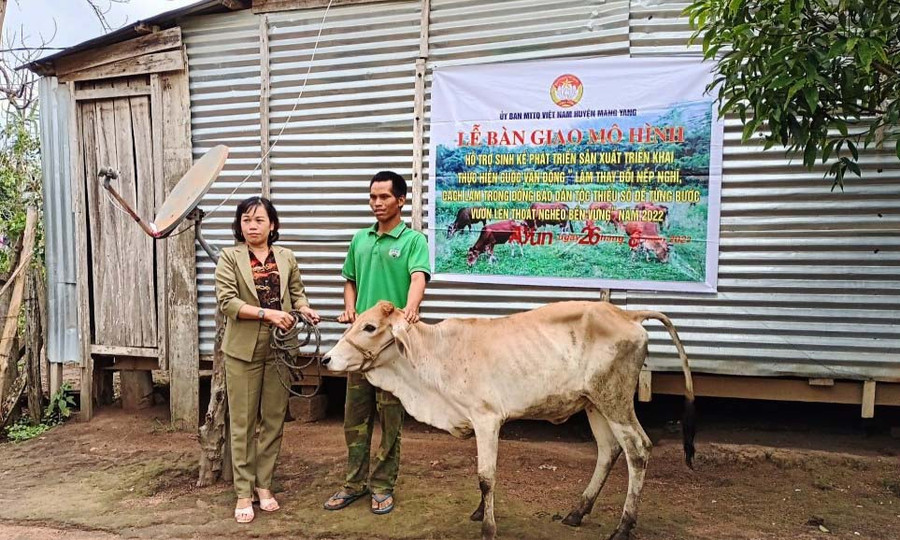 Chủ tịch Uỷ ban MTTQ Việt Nam huyện Mang Yang Nguyễn Thị Thanh Nga (bìa trái) trao tặng bò giống cho hộ nghèo làng Atur. Ảnh: Kỳ Anh