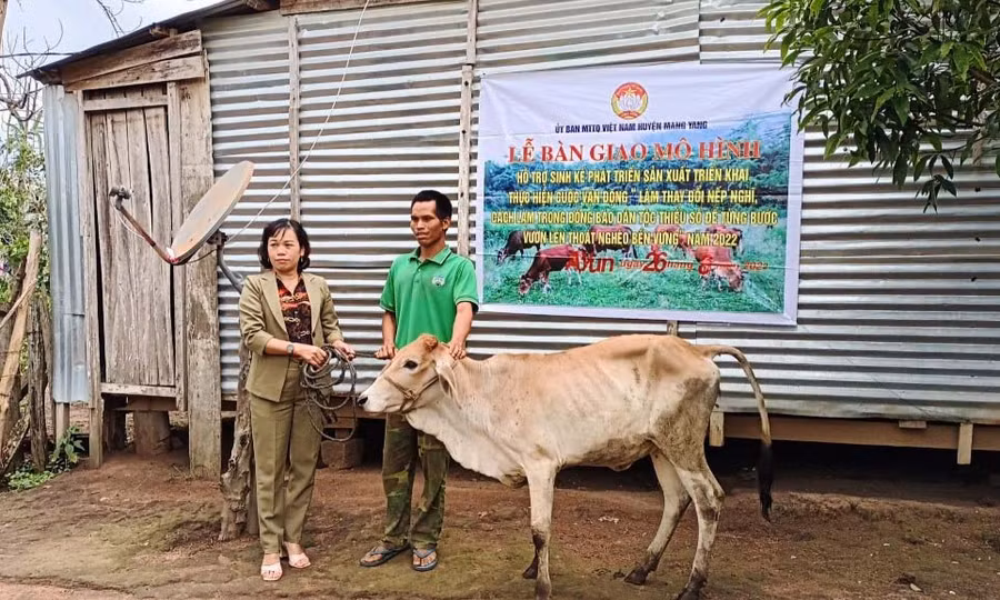 Chủ tịch Uỷ ban MTTQ Việt Nam huyện Mang Yang Nguyễn Thị Thanh Nga (bìa trái) trao tặng bò giống cho hộ nghèo làng Atur. Ảnh: Kỳ Anh