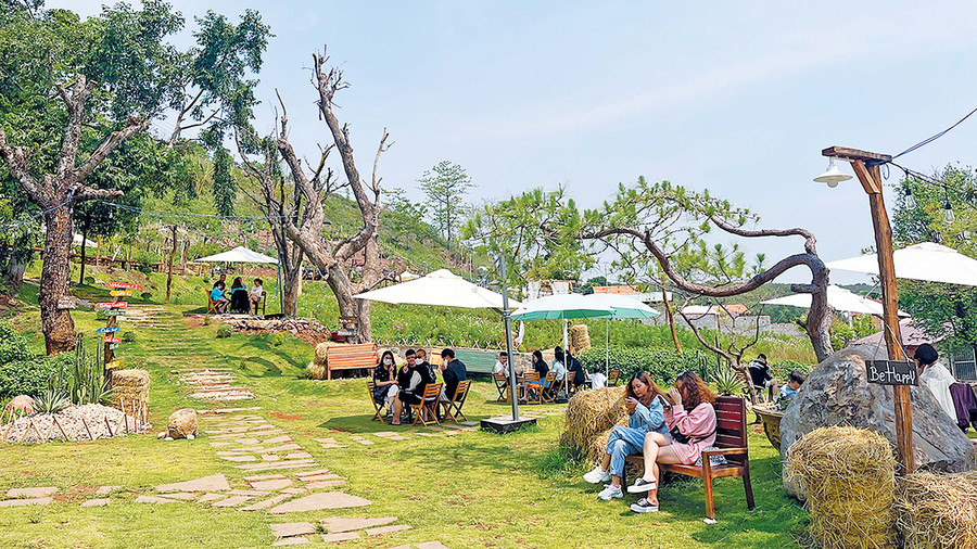 Một quán cà phê với không gian thoáng đãng ở Pleiku. Ảnh: Phương Vi