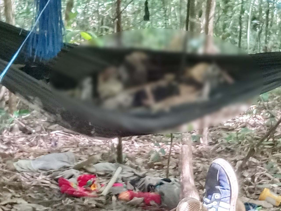 Một trong 2 thi thể chỉ còn xương khô được phát hiện trong rừng. Ảnh: Lê Anh