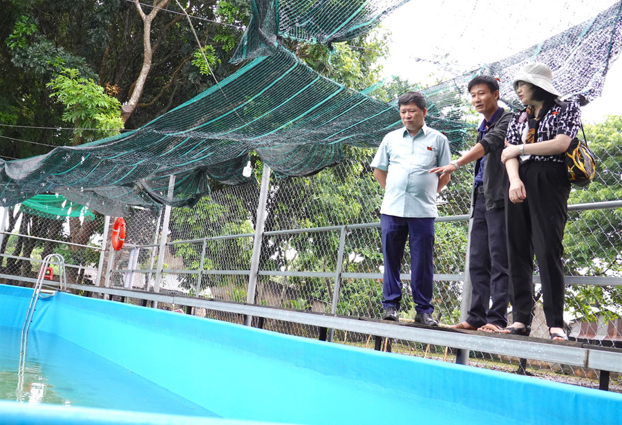 Đoàn công tác của Ủy ban Văn hóa-Giáo dục của Quốc hội khảo sát thực tế bể bơi thông minh tại Trường THCS Chu Văn An (thị trấn Chư Sê). Ảnh: Mộc Trà