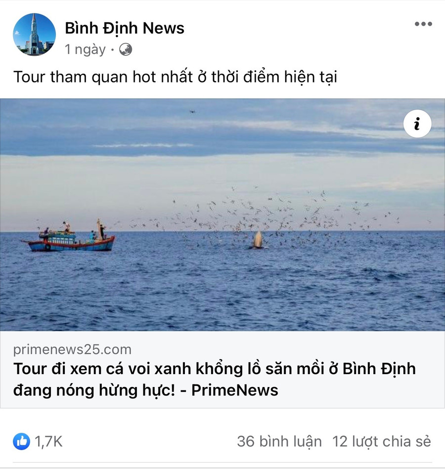 Một số trang đăng bài quảng cáo du lịch 