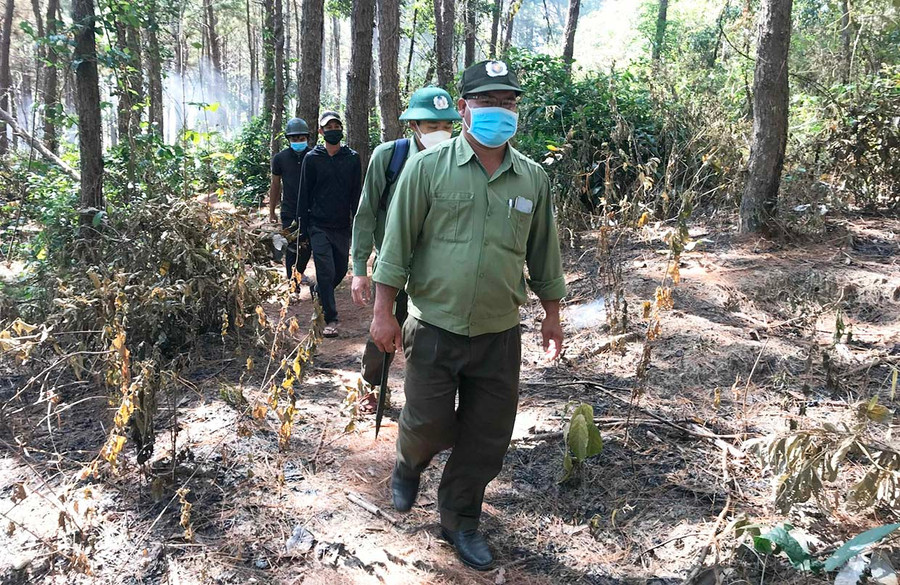 Lực lượng quản lý, bảo vệ rừng chuyên trách của Ban Quản lý rừng phòng hộ Bắc Biển Hồ tuần tra bảo vệ rừng. Ảnh: Nguyễn Diệp