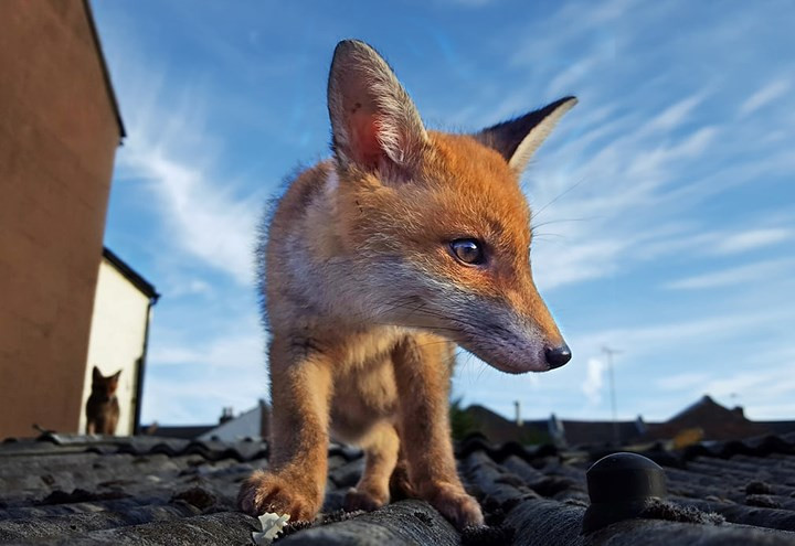  Lần đầu ra phố.