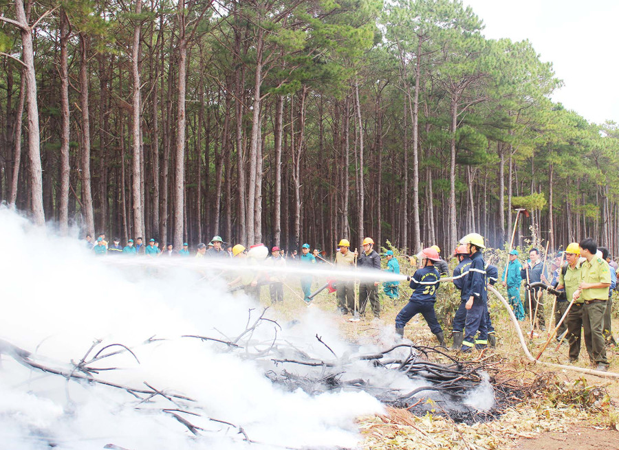 Ảnh: Nguyễn Diệp