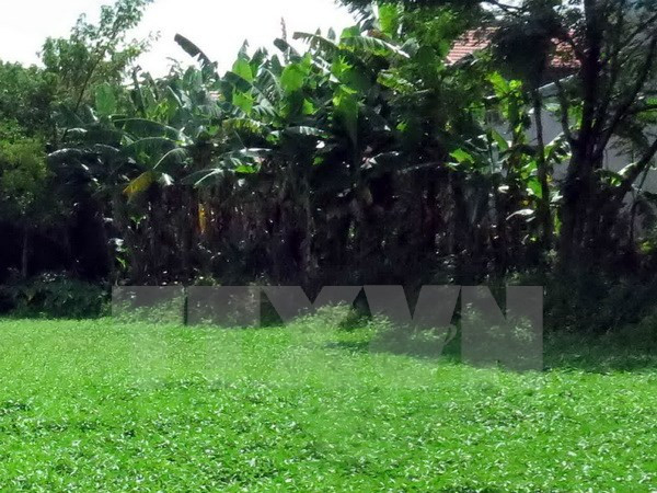 Ảnh minh họa Ảnh minh họa