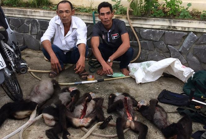 Hai đối tượng Tuấn và Chương bị bắt ngày 30-11. Hai đối tượng Tuấn và Chương bị bắt ngày 30-11.