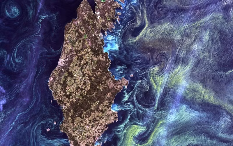 Bức ảnh của Gotland, một hòn đảo Thụy Điển ở Biển Baltic được ví như tác phẩm của danh họa nổi tiếng Van Gogh