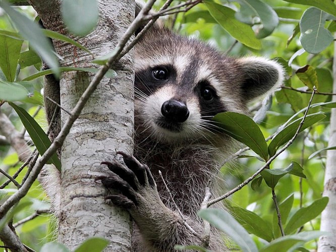 Tạo dáng chuẩn.