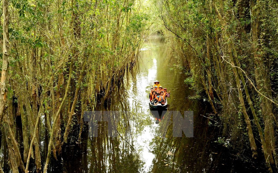 Du khách tham quan rừng tràm ngập nước tại khu du lịch làng nổi Tân Lập.