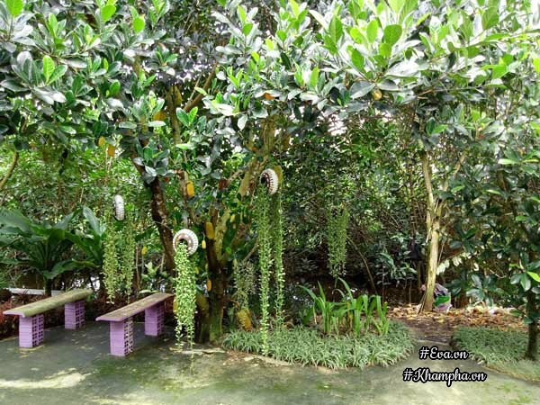 Cường tận dụng những đồ đã cũ, không dùng đến trong nhà để trang trí cho không gian xanh của mình.