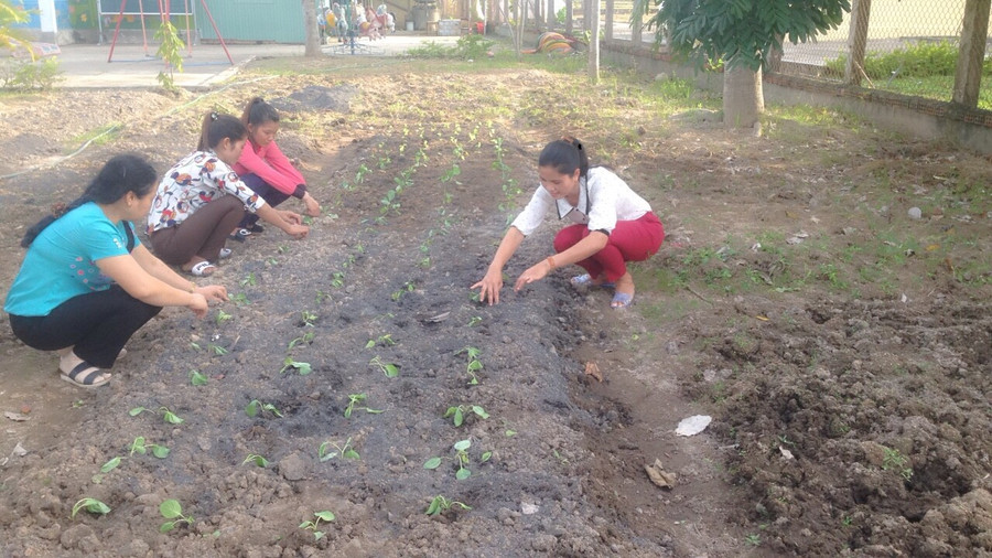 Các cô tại trường mầm non Hoa Pơ Lang cải tạo đất, chuẩn bị luống rau mới. Ảnh: N.H Các cô tại trường mầm non Hoa Pơ Lang cải tạo đất, chuẩn bị luống rau mới. Ảnh: N.H