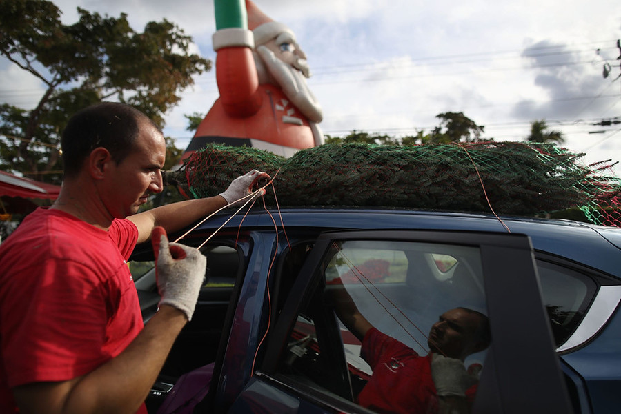 Anh Alexander Romero đang buộc cây thông lên nóc ôtô cho một khách hàng ở Miami, Florida, Mỹ. Hiệp hội Cây thông Quốc gia Mỹ cho biết tình trạng thiếu hụt thông sẽ diễn ra trong năm nay, vì vậy người dân phải chi trả nhiều hơn và tốn nhiều thời gian hơn trong việc tìm và mua loại cây này.