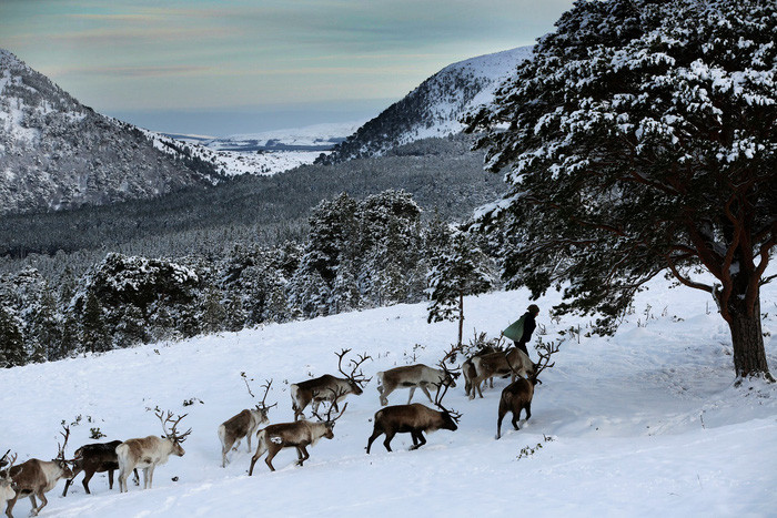  Ảnh: Murdo MacLeod