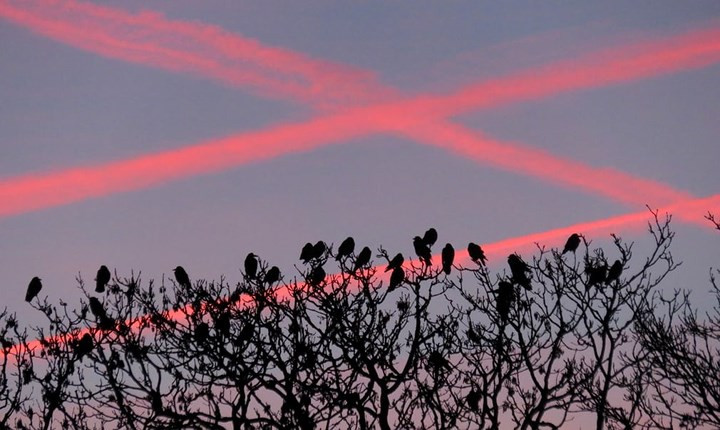  Cùng ngắm hoàng hôn.