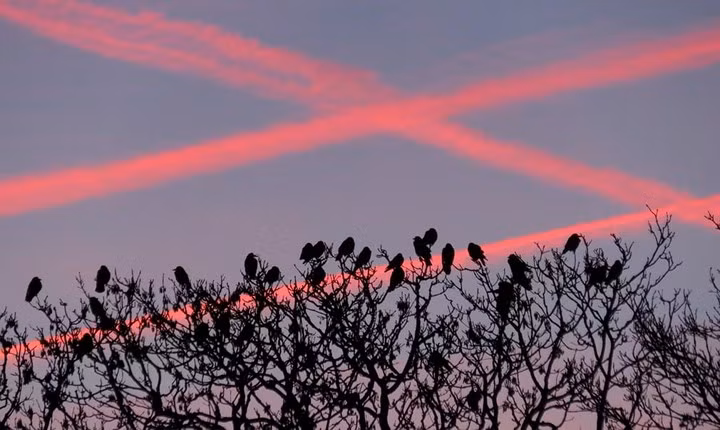  Cùng ngắm hoàng hôn.