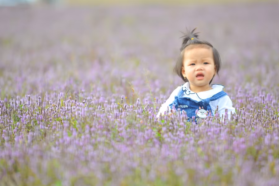 Các cháu cũng được gia đình đưa đến để lưu lại những tấm ảnh đẹp