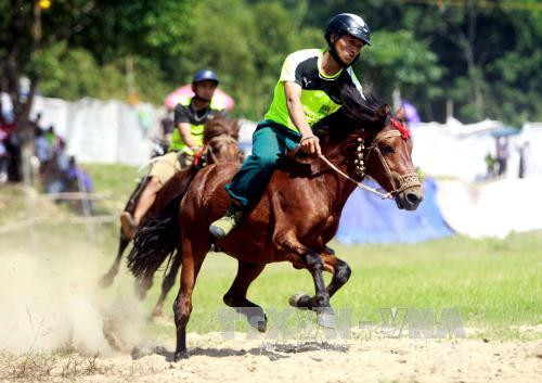 Giải đua ngựa tại xã Sơn A, huyện Văn Chấn, Yên Bái. Ảnh: Thế Duyệt/TTXVN