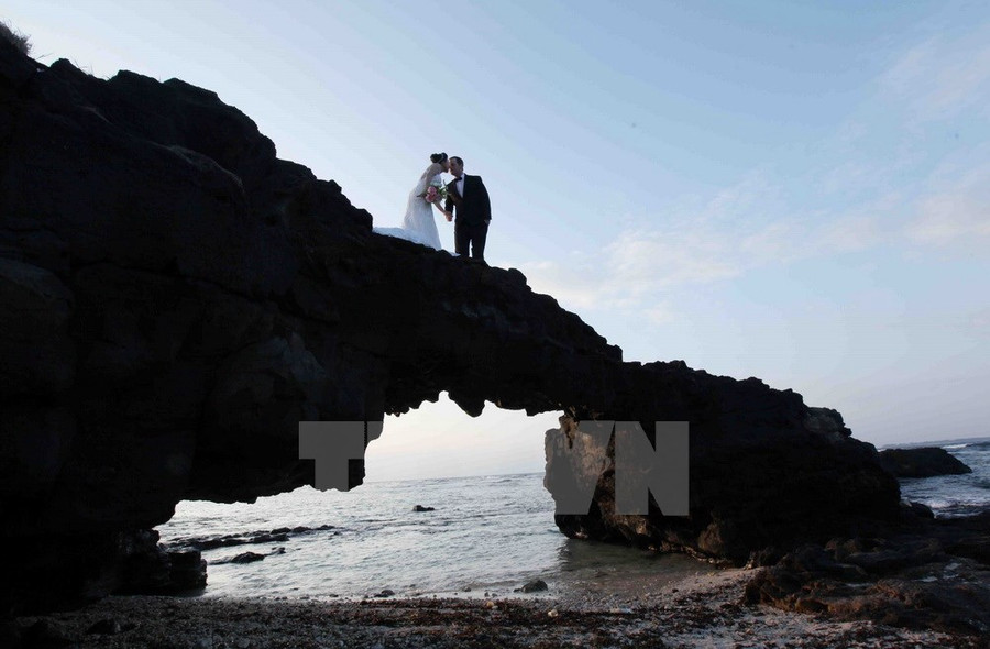 Cổng Tò Vò được hình thành từ nham thạch núi lửa, là kết quả của hàng triệu năm núi lửa hoạt động tại đây. Quanh Cổng Tò Vò là những bãi nham thạch đen bóng, hình thù kỳ lạ nhấp nhô trên làn nước trong veo của đảo Lý Sơn, thu hút đông đảo du khách. 