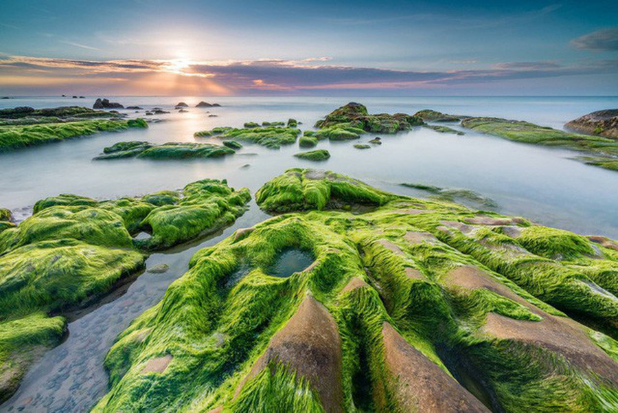 Ray hồng trên biển xanh (Sun rays and Mossy rocks), Cổ Thạch, Bình Thuận. Ảnh: Andre Luu