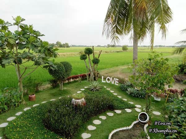 Góc vườn nhìn từ trên cao.