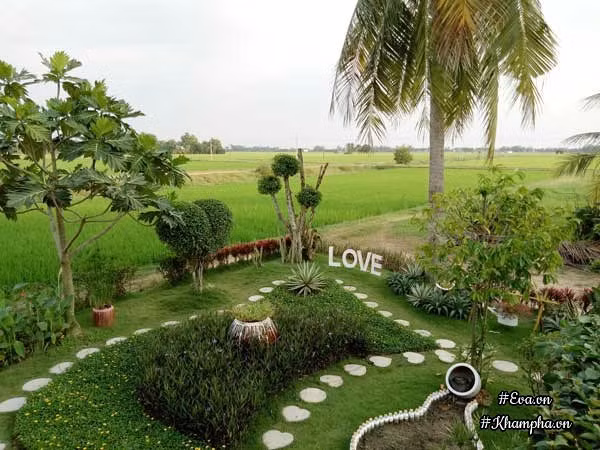 Góc vườn nhìn từ trên cao.