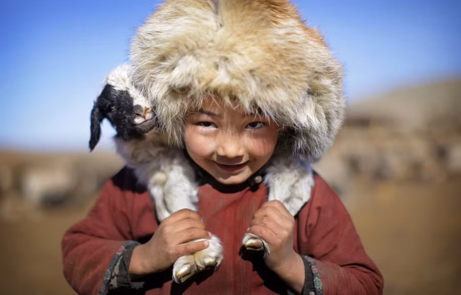 Một cậu bé du mục người Mông Cổ đội mũ lông lớn mang cừu trên vai