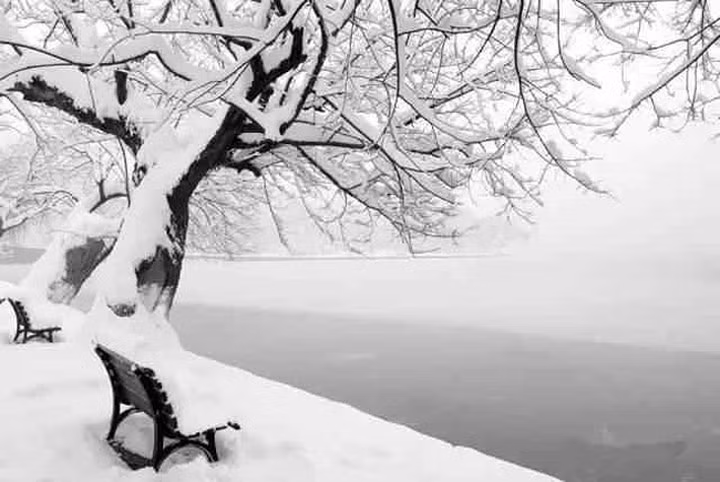  Ghé thăm Hàng Châu vào mùa đông, du khách sẽ phải ngỡ ngàng trước những khung cảnh đẹp như tranh vẽ.