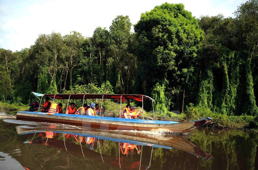 Du khách tham quan rừng tràm ngập nước tại khu du lịch làng nổi Tân Lập