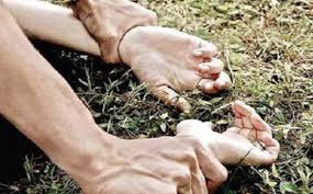 Ảnh minh họa Ảnh minh họa