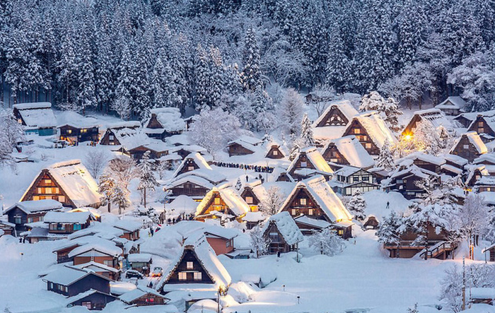 Ảnh: Vichie81/Getty Images