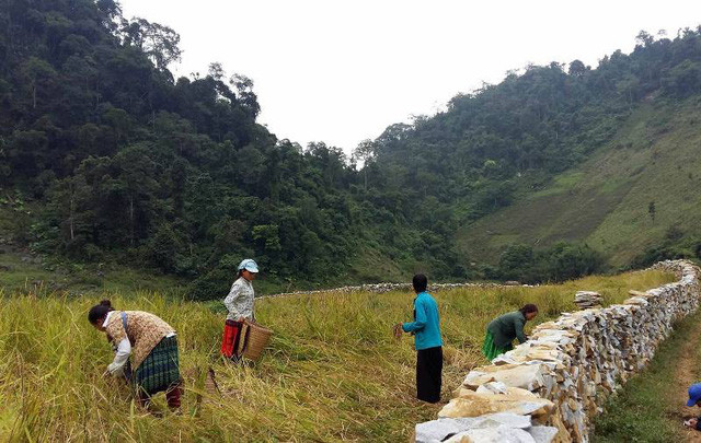 Nhiều gia đình nơi đây đã dày công và tốn không ít thời gian để chọn lựa, sắp xếp những viên đá liền khối với nhau một cách tự nhiên mà không hề sử dụng bất kỳ chất kết dính nào cho hàng rào đá. Mô hình hàng rào đá của nhiều hộ gia đình người Mông ở Sài Khao giờ đây không chỉ bảo vệ đời sống, sản xuất của bà con, mà nó còn tạo thành một điểm nhấn độc đáo nơi thung lũng Sài Khao.