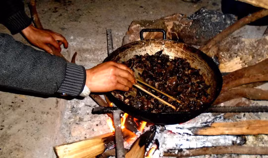  Chảo thịt chuột