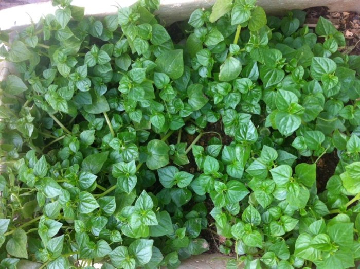 Sau khi biết công dụng 