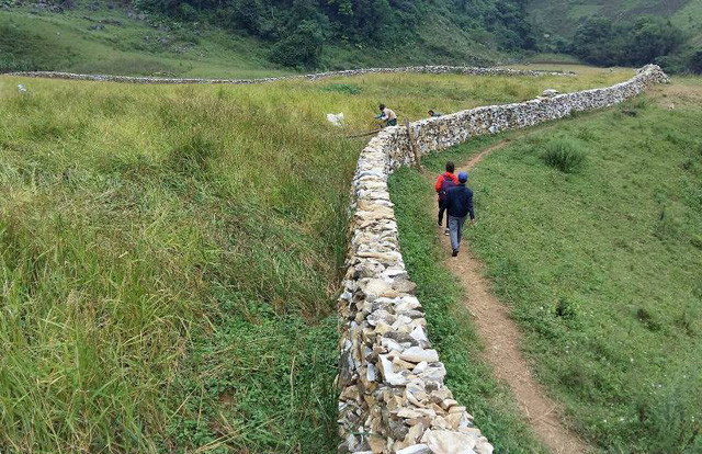 Bức “tường thành” đá trải dài ngút ngàn giữa thung lũng nơi đại ngàn như một bức tranh về công trình kiến trúc đồ sộ, độc đáo. Để bảo vệ nương lúa, gia đình anh Tháu đã xây dựng một hàng rào đá dài gần 3km bao quanh. Cả gia đình anh lên núi chở đá về làm mất gần ba tháng trời mới xong công trình này.