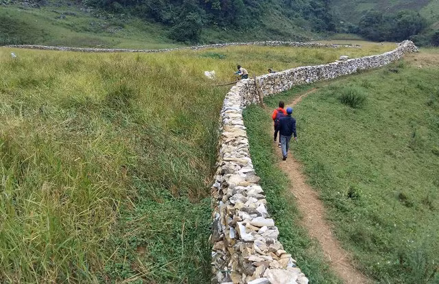 Bức “tường thành” đá trải dài ngút ngàn giữa thung lũng nơi đại ngàn như một bức tranh về công trình kiến trúc đồ sộ, độc đáo. Để bảo vệ nương lúa, gia đình anh Tháu đã xây dựng một hàng rào đá dài gần 3km bao quanh. Cả gia đình anh lên núi chở đá về làm mất gần ba tháng trời mới xong công trình này.