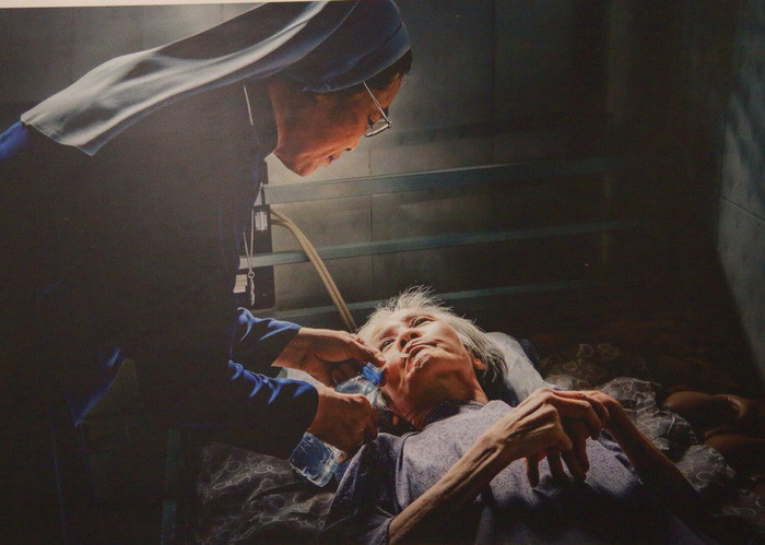 Tác phẩm Từ tâm của tác giả Bùi Viết Đồng (Việt Nam) đạt huy chương vàng VAPA