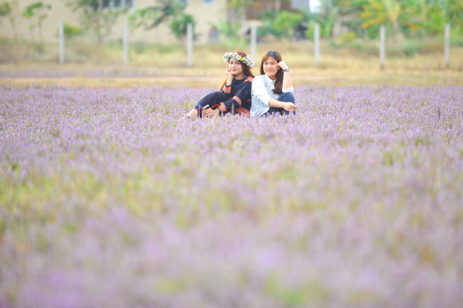 Cảnh sắc vùng quê càng làm cho khung cảnh thêm đẹp