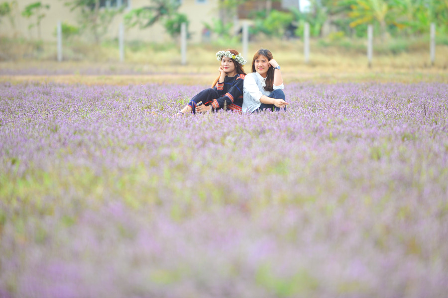 Cảnh sắc vùng quê càng làm cho khung cảnh thêm đẹp