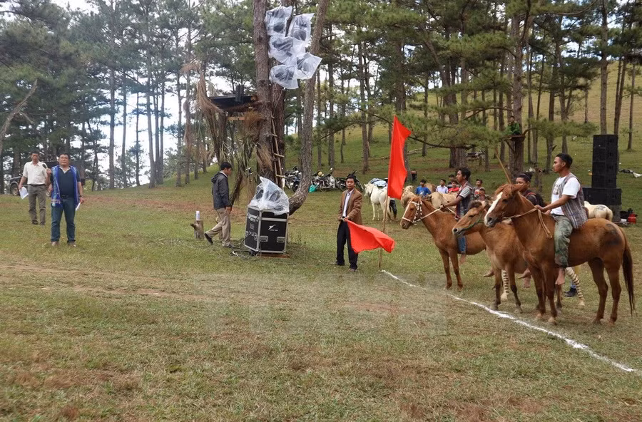 Các kỵ mã vào điểm xuất phát. 