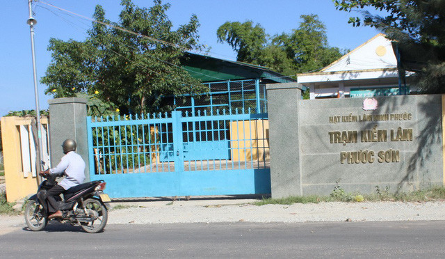 Ảnh internet